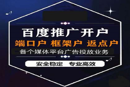 案例分享：SEM推广助力电商快速崛起